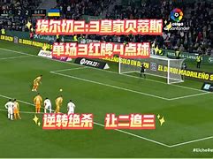 安博体育入口-尼斯客场一举夺冠，功成名就(尼斯队老板)